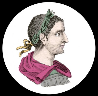 Portrét císaře Elagabala nebo Heliogabala (Marcus Aurelius Antoninus nebo Heliogabalus) (204-222 n. l.). Rytina 19. století. od Unknown artist