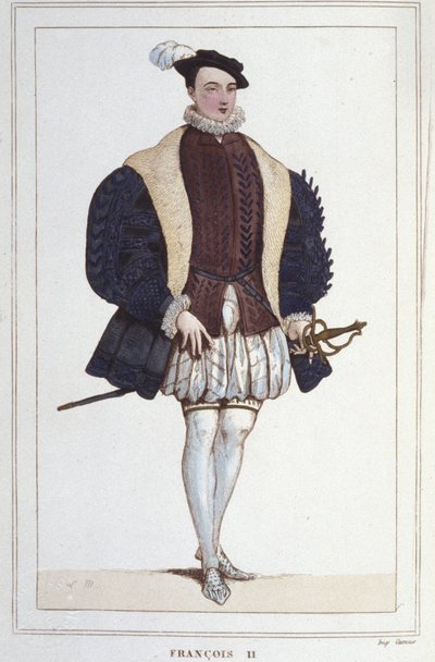 Portrét Františka II. (1544 - 1560), francouzského krále, rytina z roku 1830 od Unknown artist