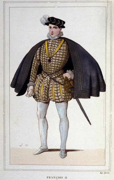 Portrét Františka II. (1544 - 1560), francouzského krále, rytina z roku 1830 od Unknown artist