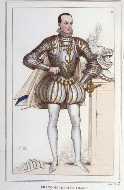 Portrét Františka II. (1544 - 1560), francouzského krále, rytina z roku 1830 od Unknown artist