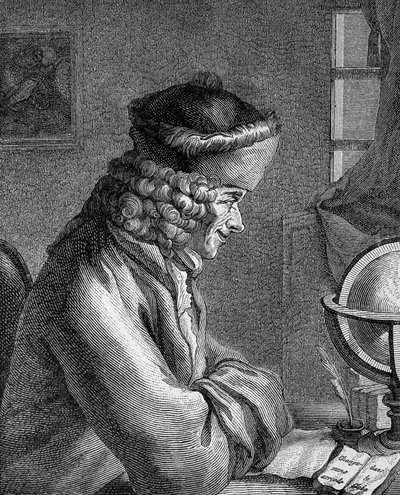Portrét Francois Marie Arouet dit Voltaire (1694 - 1778) na zámku de Ferney v roce 1764. od Unknown artist
