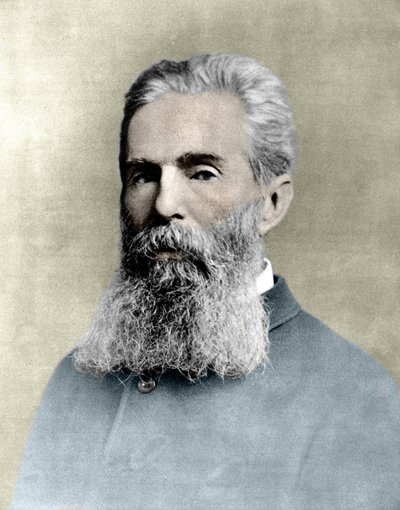 Portrét Hermana Melvilla (1819 -1891) americký romanopisec. od Unknown artist