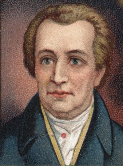 Portrét Johanna Wolfganga Goetha (1749 - 1832), německého spisovatele. od Unknown artist