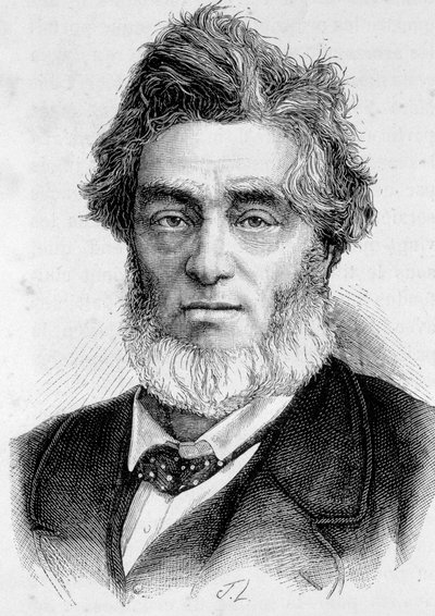 Portrét Julese Favrea (1809 -1880), francouzského politika. od Unknown artist