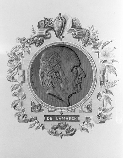 Portrét Lamarcka (1744 - 1829). od Unknown artist