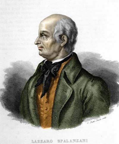 Portrét Lazzaro Spalanzani (nebo Spallanzani), italský biolog (1729 - 1799) od Unknown artist