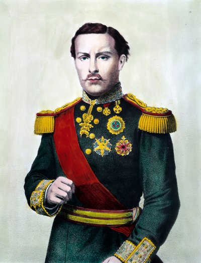Portrét Ludvíka I. Portugalského (1838-1889) Portugalský král Rytina z 19. století Soukromá sbírka od Unknown artist