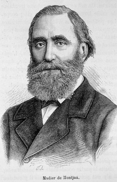 Portrét Madiera de Montjau, francouzského poslance 19. století. od Unknown artist
