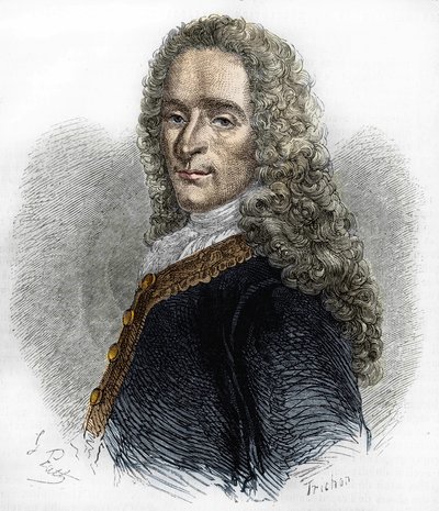 Portrét Marie-François Arouet de Voltaire (1695-1778), francouzské spisovatelky. od Unknown artist
