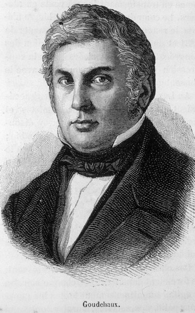 Portrét Michela Goudchauxe od Unknown artist