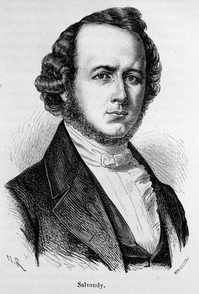 Portrét Narcissus Achilles, hrabě ze Salvandy, francouzský politik (1795 - 1856) od Unknown artist