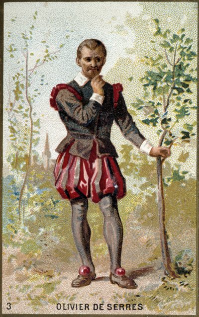 Portrét Oliviera de Serres (1539 - 1619), francouzského agronoma. Chromolitografie 19. století. od Unknown artist