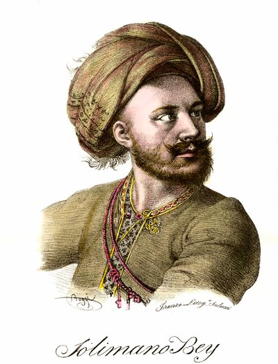 Portrét Solimana (Suleymana) I. Nádherného (1494-1566), osmanského sultána““ od Unknown artist