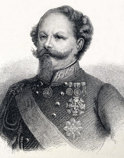 Portrét Viktora Emanuela II. Savojského (Victor-Emmanuel), v italštině Vittorio Emanuele II. od Unknown artist