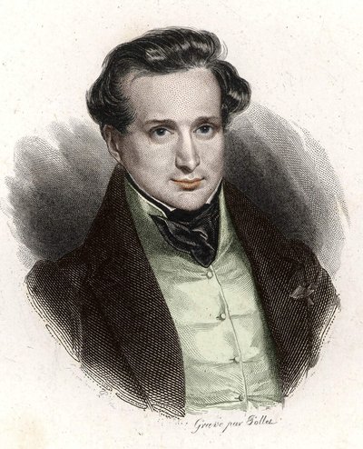 Portrét Victora Huga, mladého muže od Unknown artist