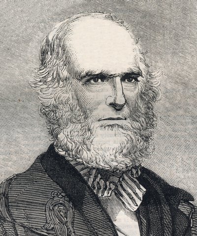Portrét Williama Cullena Bryanta (1794-1878), amerického básníka. Gravírování do „“ The illustrated London News““ z 23. ledna 1858. od Unknown artist