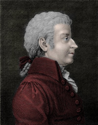Portrét mladého Wolfganga Amadea Mozarta (1756 - 1791) skladatele. od Unknown artist