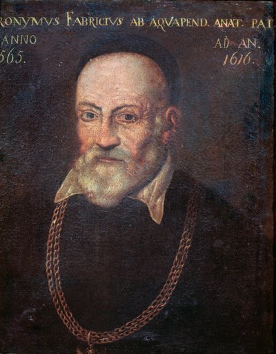 Portrét průkopnického anatoma a chirurga Hieronyma Fabricia (malba od Unknown artist