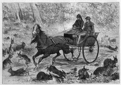 Přelidnění králíků v Austrálii: Auto pana Williamsona projíždí hromadou králíků. Gravírování v „“ La Nature: revue des sciences et de leurs applications aux arts et a l