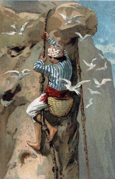Přemístění hnízd vlaštovek salanganových v Malajsii. Chromolitografie konce 19. století. od Unknown artist