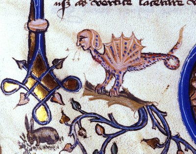 Znázornění fantastického zvířete mi man mi dragon. Miniatura rukopisu ze 14. století od Unknown artist