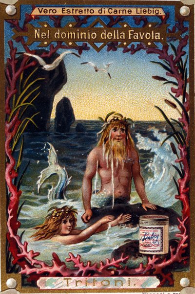 Zastoupení čolků, legendárních tvorů mi man mi fish. chromolitograf 19. století od Unknown artist