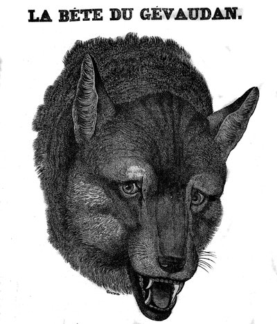 Zastoupení Bete du Gevaudan. od Unknown artist