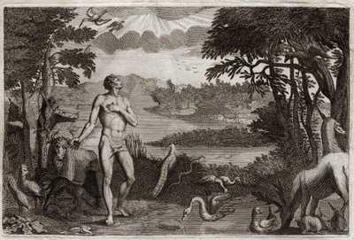 Royaumontská Bible, Starý zákon: Stvoření muže a ženy. Bůh, který stvořil člověka, dal ho do pozemského ráje a zakázal mu jíst ovoce ze stromu poznání dobra a zla. Ilustrace z roku 1811. od Unknown artist