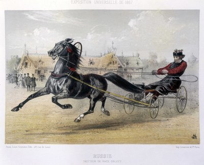 Rusko: Orloff plemeno klusák - v "" Kentaur "" 1867 od Unknown artist