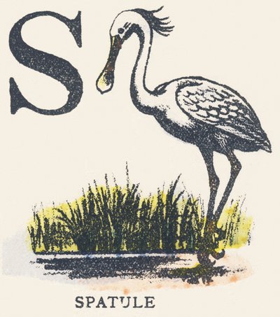 S: špachtle od Unknown artist
