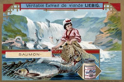 Lov lososů - chromo 19. století. od Unknown artist