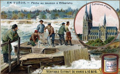 Lov lososů v Elfkarleby, Švédsko. Chromolitografie, Liebigův snímek. od Unknown artist