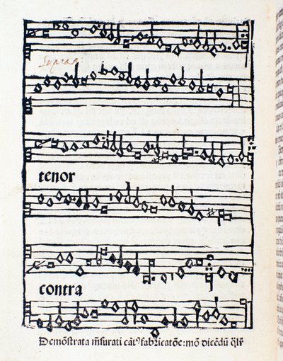 Notová stránka pro Muzikologické studie a dokumenty Nicola Burzia od Unknown artist