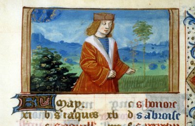 Znamení Blíženců a Člověk v polích - miniatura, středověk: Vyžádejte si povolení od Městské knihovny v Toulouse (tel: 05 62 27 66 66) od Unknown artist