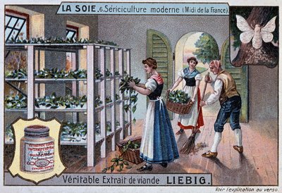 Hedvábí: hedvábná dílna v jižní Francii, reklama Liebig, v. 1895 od Unknown artist
