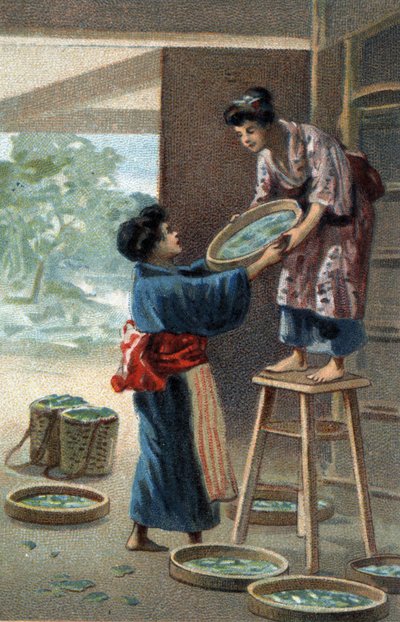 Chov bource morušového v japonském magnetu. Chromolitografie konce 19. století. od Unknown artist