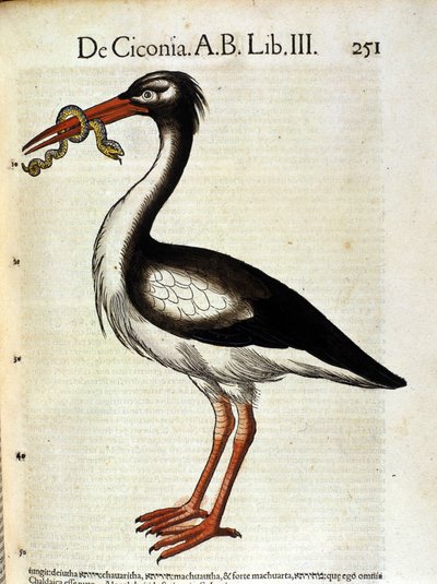 Závěsný od Unknown artist