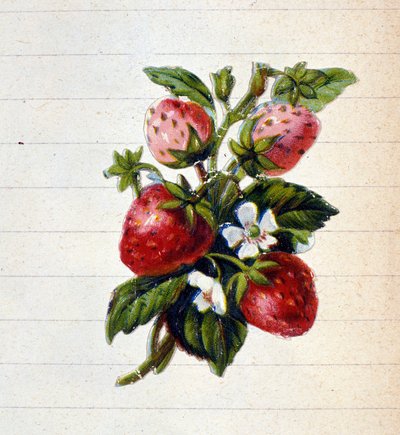 Jahody. Chromolitografie 19. století. od Unknown artist