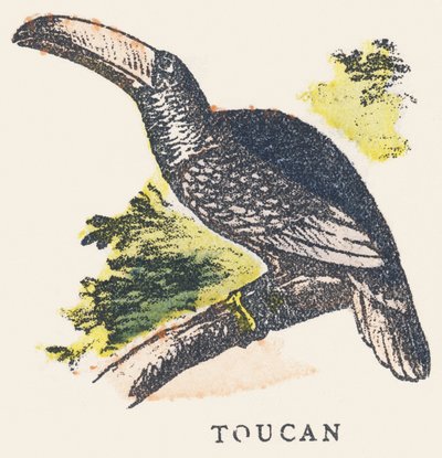 T: Tukan od Unknown artist