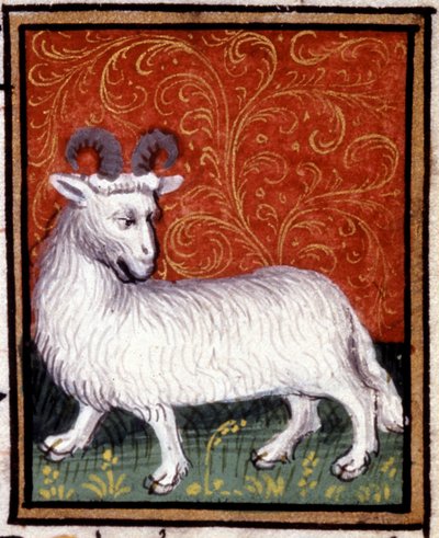 Beran. Miniatura horoskopu. Rukopis 15. století. Bibl. Trivulziana, Milán. od Unknown artist