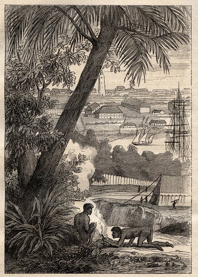 Výprava do jižních zemí (1800-1803) od Nicolase Baudina (1754-1803): Pohled na Sydney (Austrálie) - ilustrace z „Velkých námořníků 18. století““ od Unknown artist