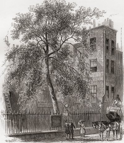 The Plane Tree, Wood Street, Cheapside, Londýn, Anglie v 19. století od Unknown artist