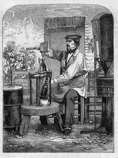 Stáčení šampaňského vína. Rytina z roku 1864. od Unknown artist