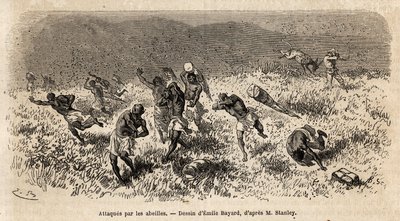 Karavanu nosičů expedice Henryho Mortona Stanleyho (1841-1904) na silnici Misonghi (východní Afrika) napadl mrak včel. Rytina znázorňující cestu při hledání Livingstone ve střední Africe od Henryho Stanleyho, dopisovatele od Unknown artist