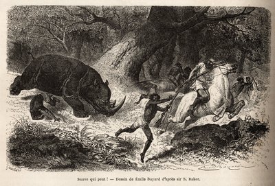 Náboj nosorožce, který převrátí a uvězní lovce, během pátrání po autorovi a jeho průvodcích. Rytina pro ilustraci průzkumu habešských přítoků Nilu od sira Samuela W. Bakera v letech 1861-62, publikovaná v „“ Le tou od Unknown artist