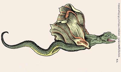 Létající drak Amphiptere (Amphithere nebo Amphitere nebo Amphipthere) Rytina v Historia Animalium od Conrada Gesnera (1516 - 1565), Tiguri od Unknown artist