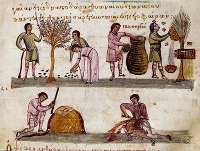 Sklizeň oliv, produkce medu a porážky jehňat Miniatura z loveckého dojení „The Cynegetics““ od Oppiana (Oppian nebo Oppianus) ze Sýrie (3. století n. l.) věnovaná Caracalle. Benátky 11. století. Knihovna Marciana od Unknown artist