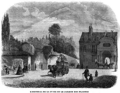 Nemocnice pitie salpetriere (PITIE-SALPETRIERE) a zahrada rostlin v Paříži v roce 1858. od Unknown artist