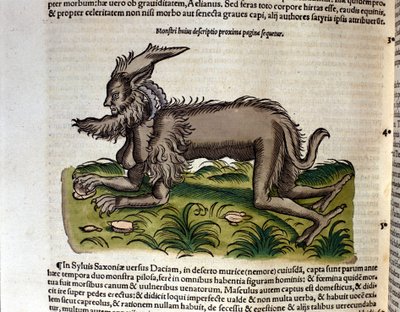 Manticore z Historia Animalium od Conrada Gesnera, Tiguri 1560. Biblioteca Nazionale Braidense. Milán od Unknown artist