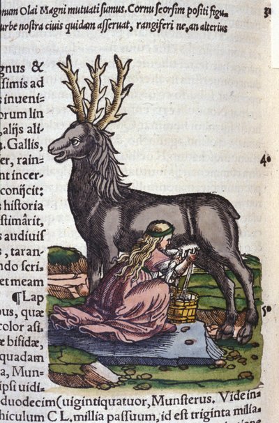 Obchod se soby po Historia animalium Konrada Gesnera, Tiguri od Unknown artist
